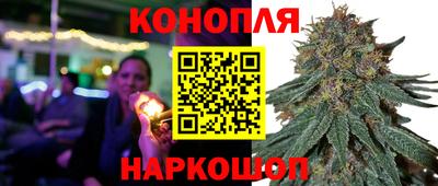 гидропоника Кунгур
